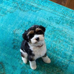 Meet your Posher, Annette